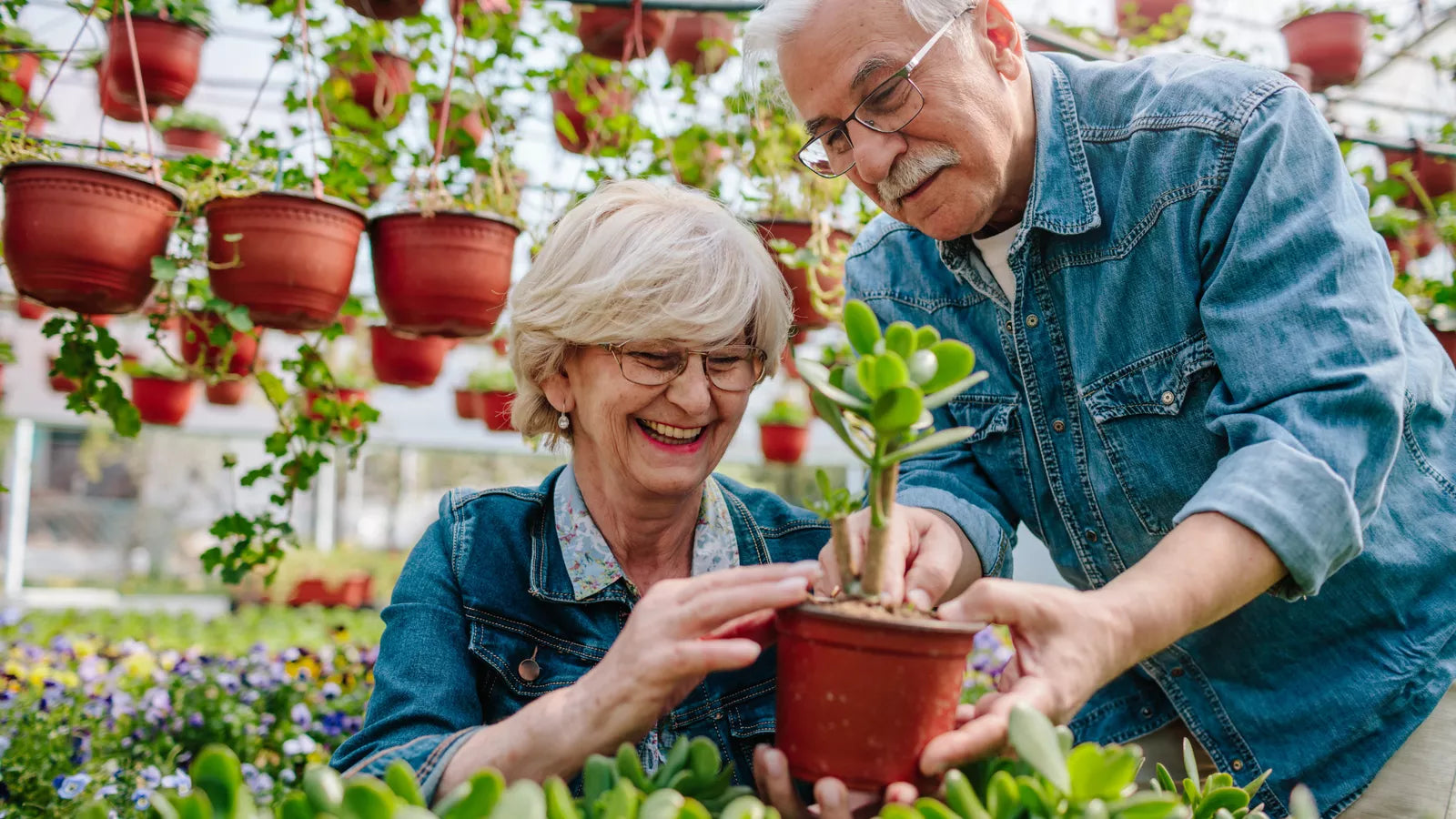Hobby-Ideen, die im Alter fit halten